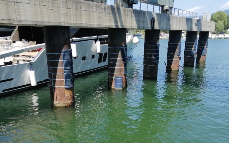 pontile pontile